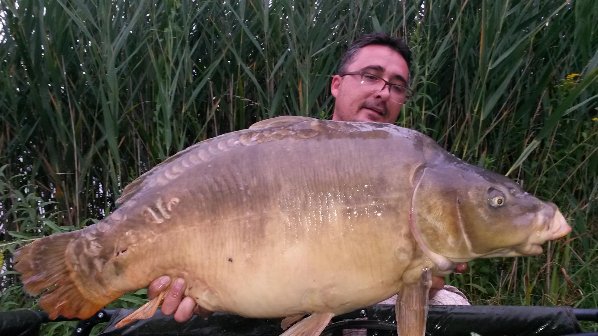 regiune Rhône-Alpes 10 - 11 august 2015 - 20150810200754.jpg